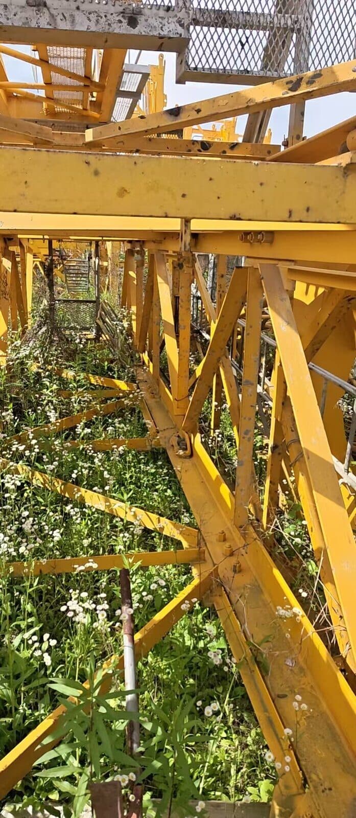 Potain MC 110 Hammerhead Tower Crane