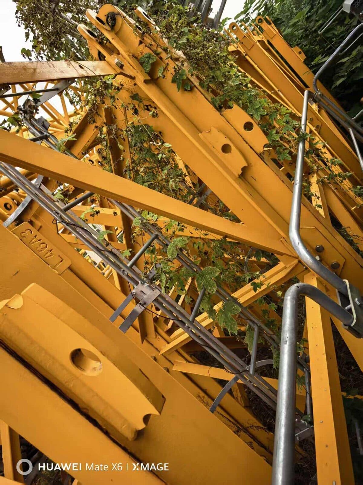 Potain MC 130 Hammerhead Tower Crane