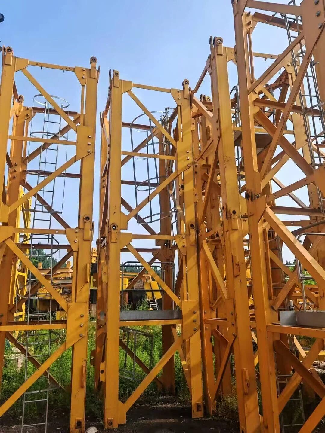 SCM QTZ6515-8 Flat-Top Tower Crane 2