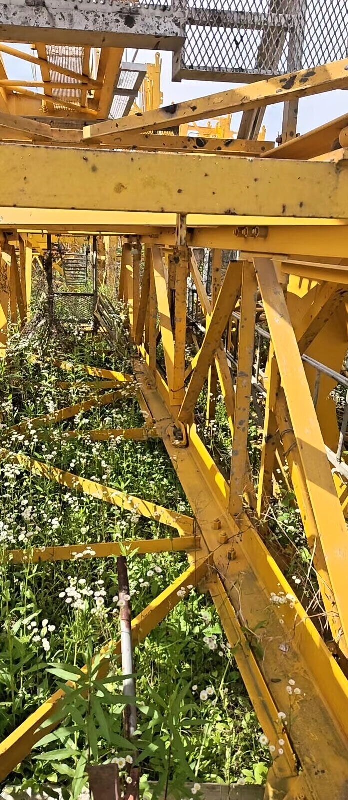 Potain MC 110 Hammerhead Tower Crane 1