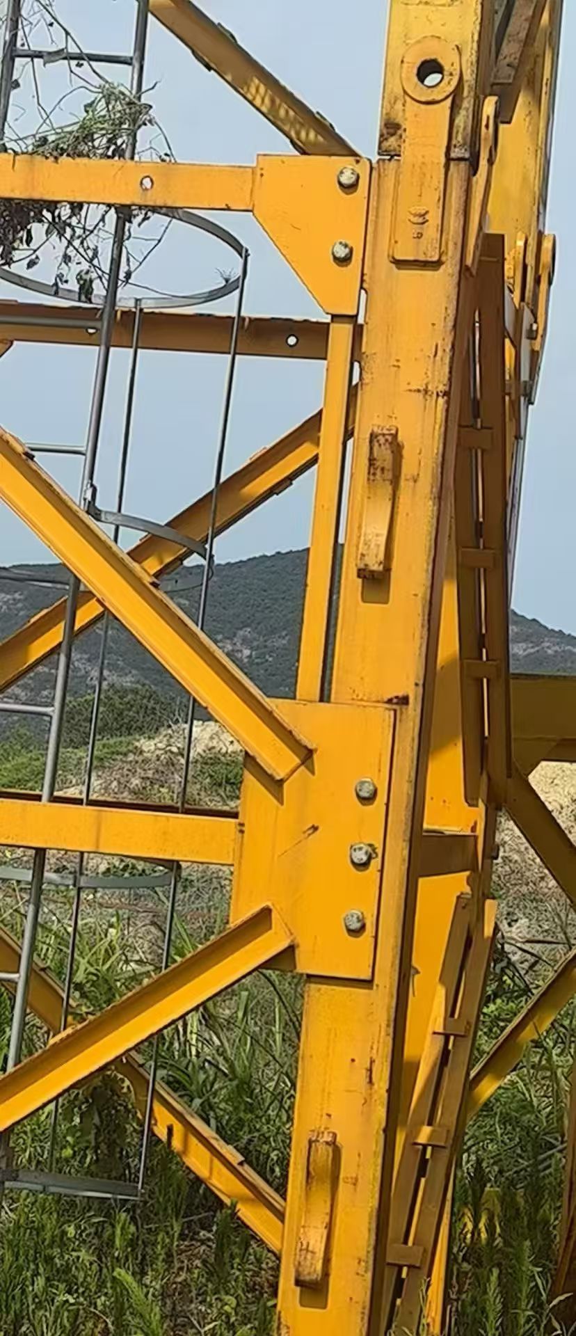 2018/2019 ZOOMLION L68B1 Mast Section 4